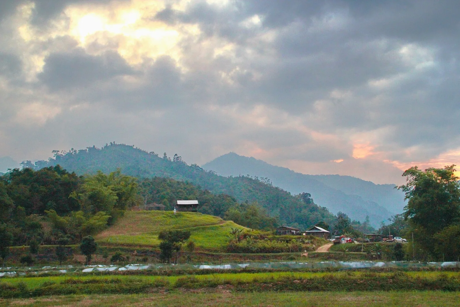 Rice fields and green hills in the Bario Highlands