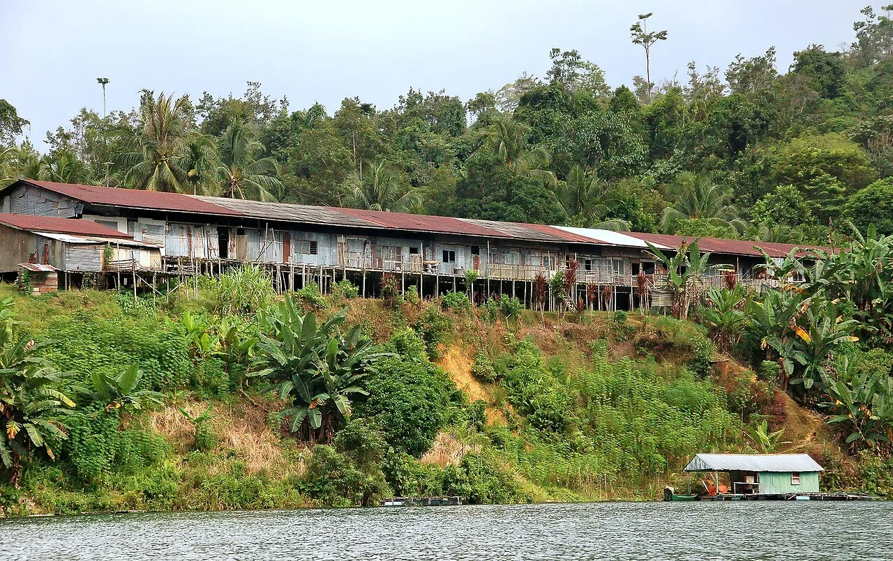 An Iban longhouse on stilts above a green hillside beside the water at Batang Ai