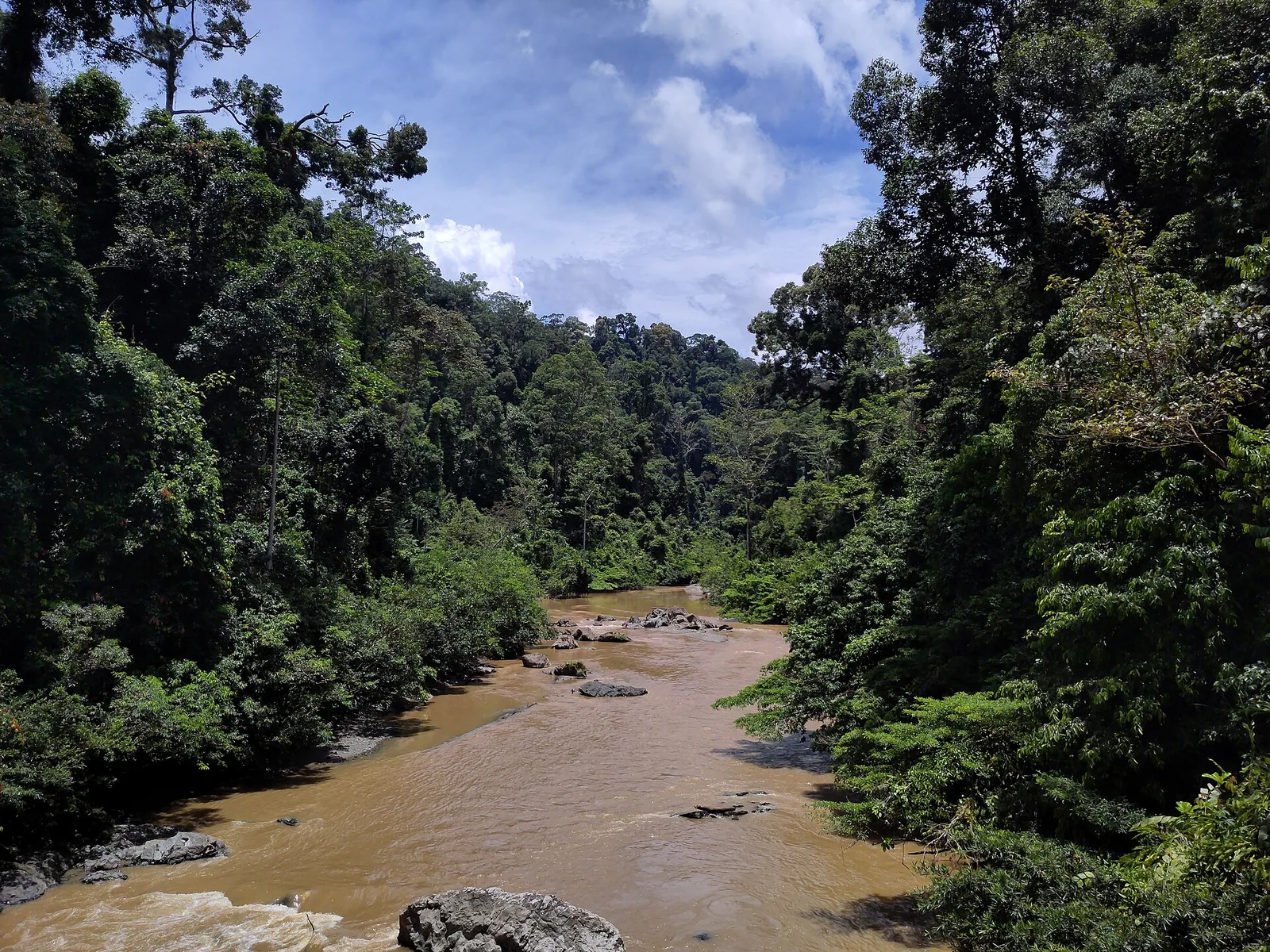 A river through Sabah's lowland rainforest
