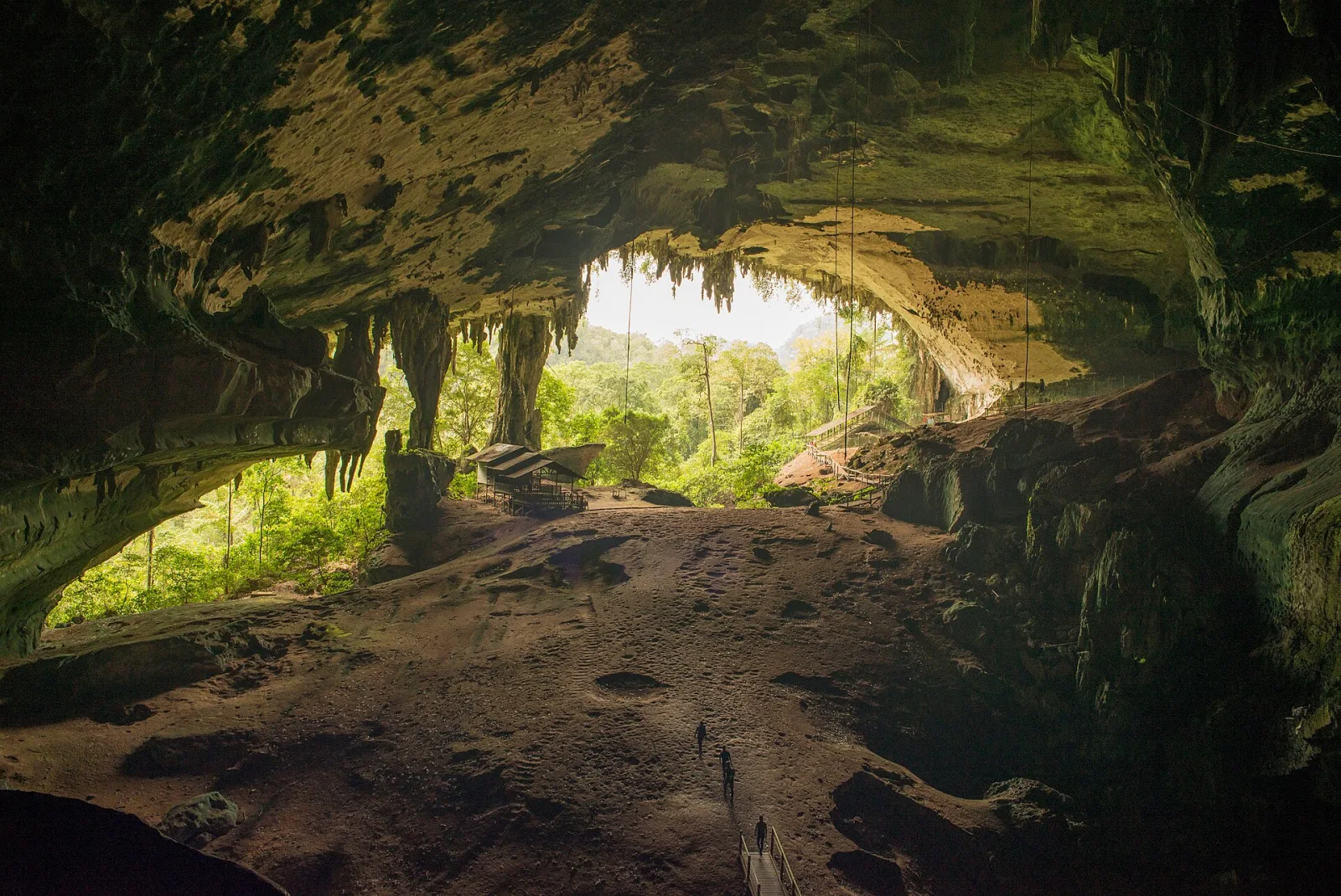 The broad entrance of Niah Great Cave above the surrounding rainforest
