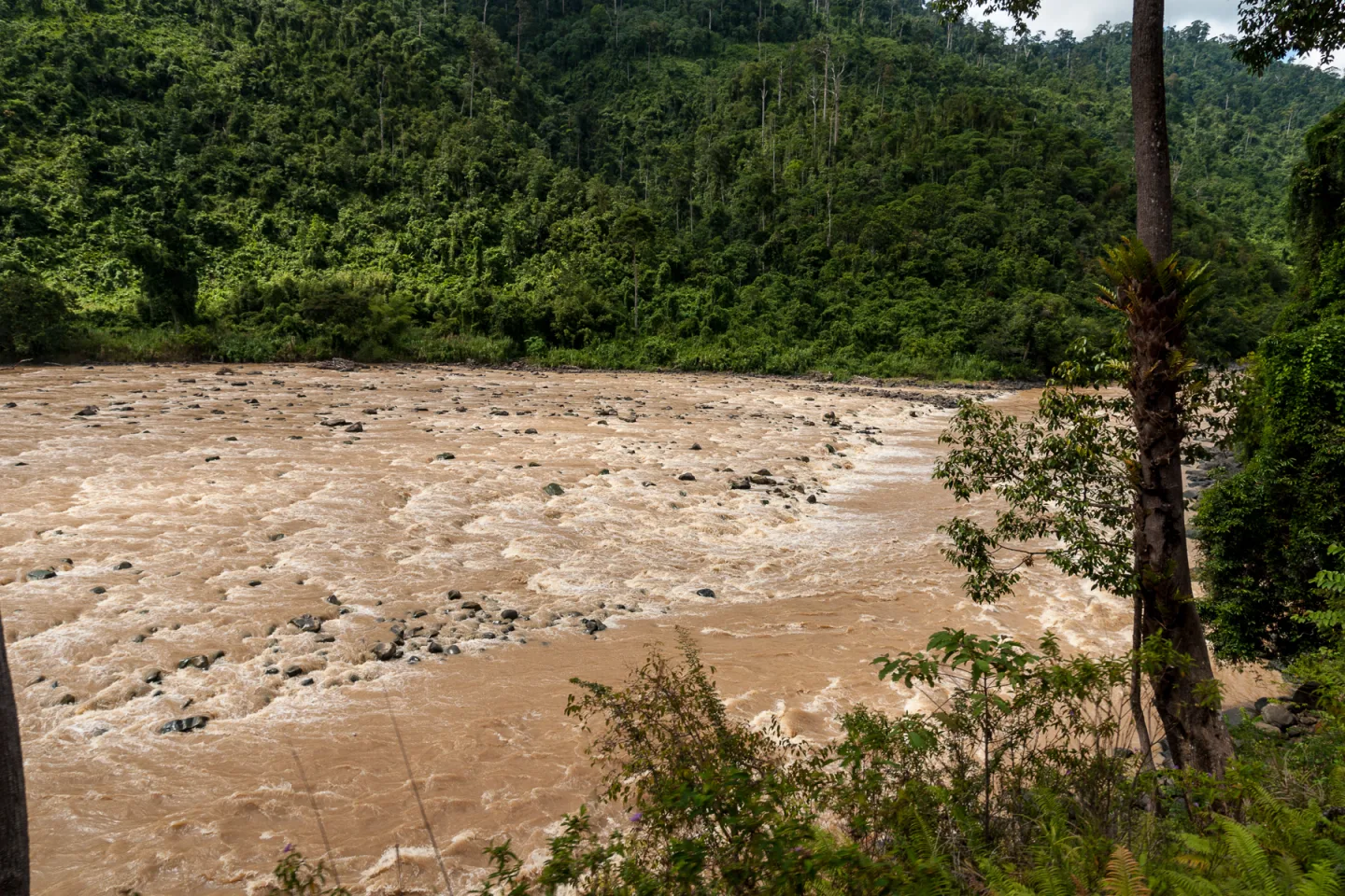 Fast water on the forest-lined Padas River in Sabah; this photo shows the river, not a rafting group.