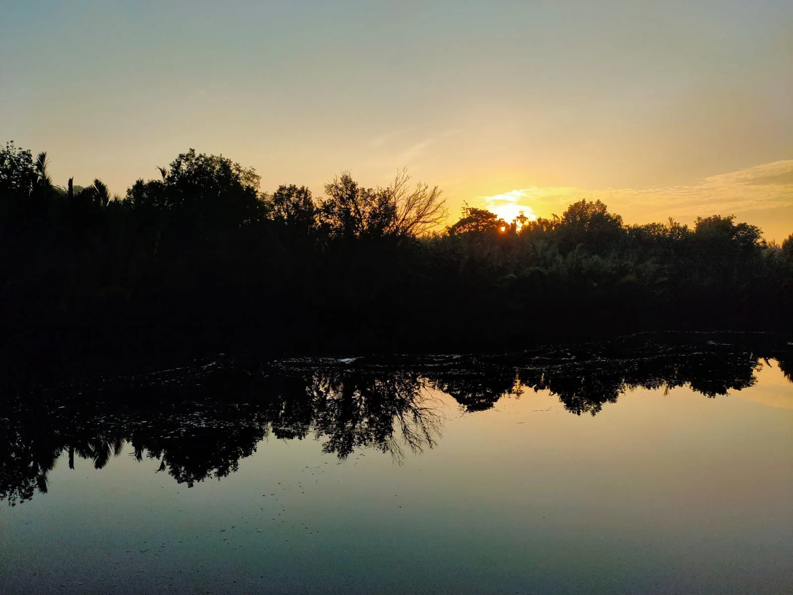 Sunset reflected on the forest-lined Sekonyer River in Tanjung Puting